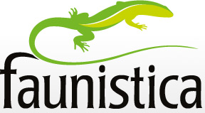 Logo Faunistica